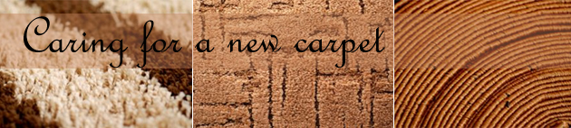 Dorset carpet flooring